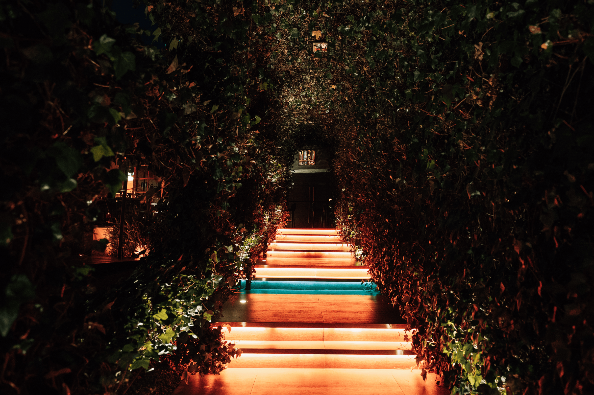 persona cocinando platos